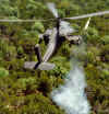 apache3.jpg (119444 bytes)