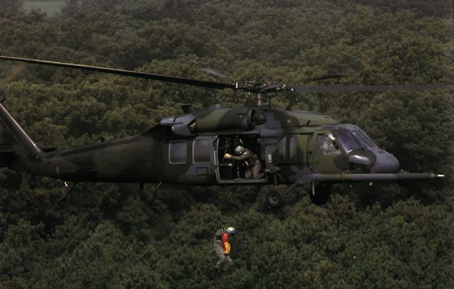 bhawk12.jpg (44262 bytes)