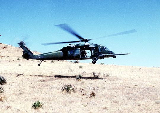 bhawk3.jpg (56913 bytes)