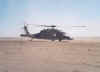 bhawk8.jpg (38913 bytes)
