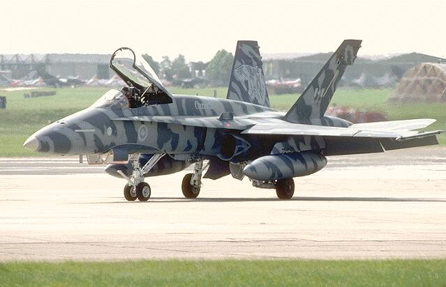 f18_13.jpg (39593 bytes)
