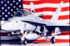 f18_24.gif (60389 bytes)