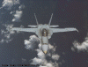 f18_8.gif (135609 bytes)